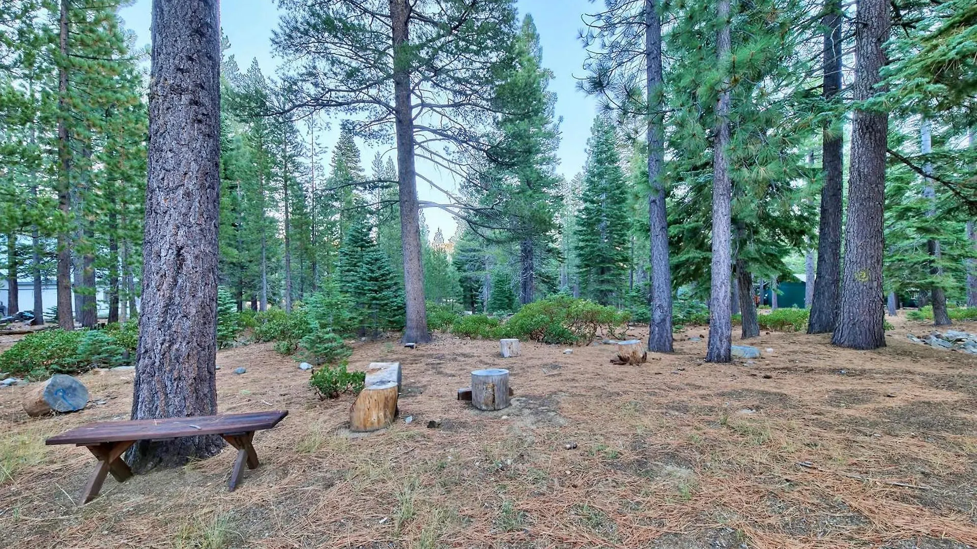 Vila 1965Np The Bears Den South Lake Tahoe USA